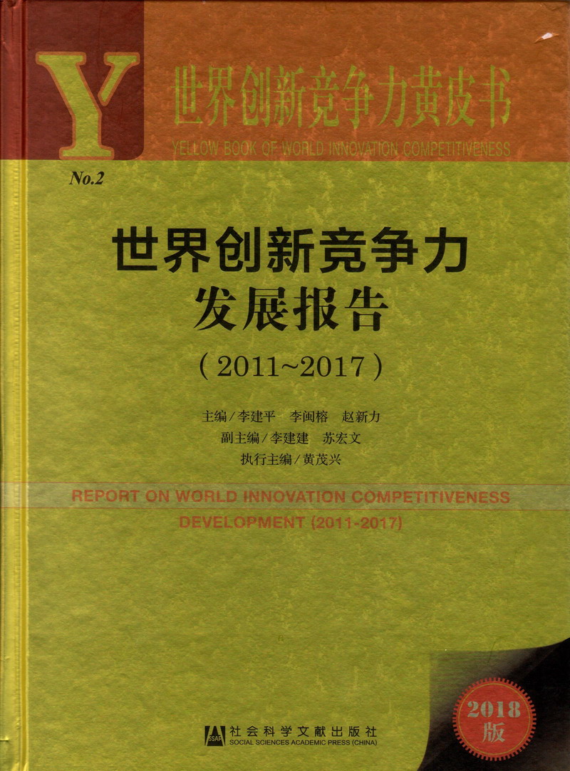 大鸡吧插小嫩屄在线观看世界创新竞争力发展报告（2011-2017）